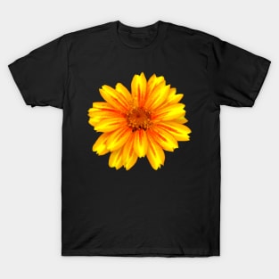 unique yellow red flower, bloom, flowers, petals T-Shirt